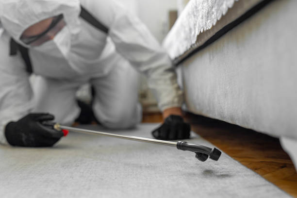 Professional Termite Control technician working in Sand Ridge, NY