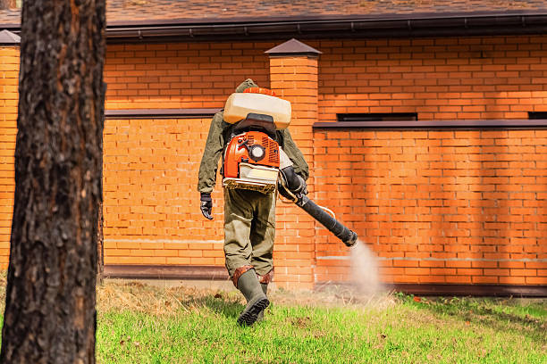 Trusted Emergency Pest Control service in Sand Ridge, NY - Nex Pest Control